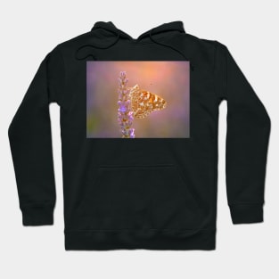 Painted Lady Butterfly Backlit on Lavender Hoodie